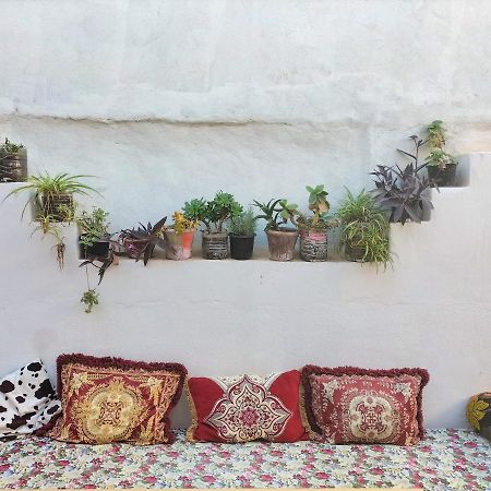 Hostel Zicatela Taghazout Εξωτερικό φωτογραφία