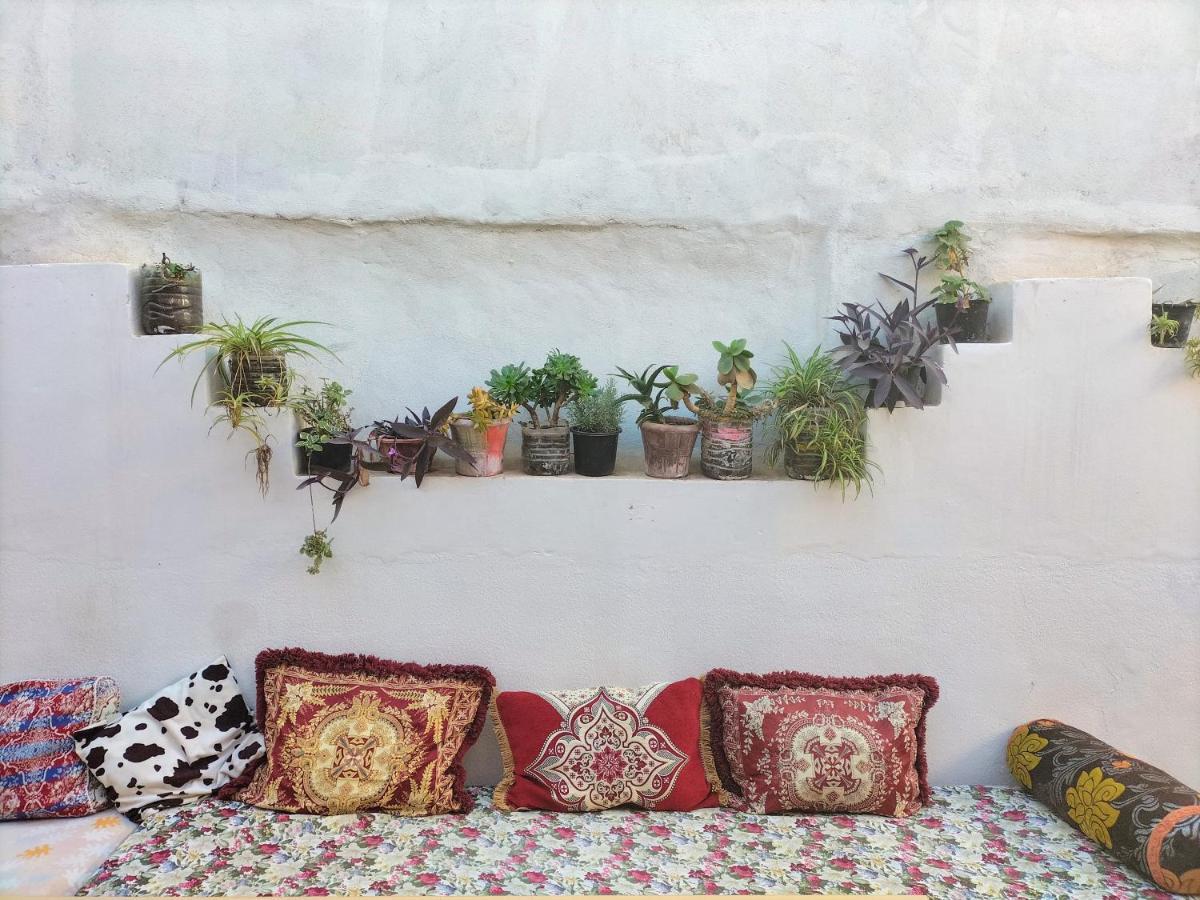 Hostel Zicatela Taghazout Εξωτερικό φωτογραφία